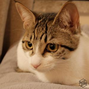 잘 지내니? (Vocal by Anna)