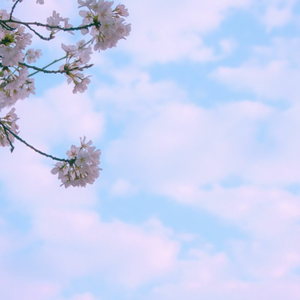 Cotton Clouds (Mirth Flip)