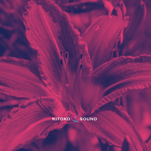 Bulb (feat. Kitoko Sound, Din BEATS & Afro Zen)