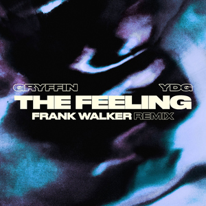 The Feeling (Frank Walker Remix)