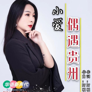 偶遇贵州 (伴奏)