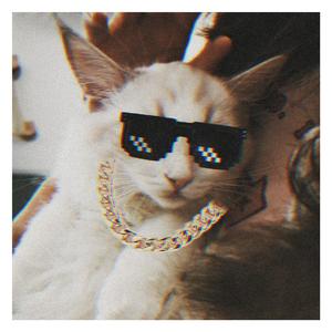 HONORS DAY（ins.）