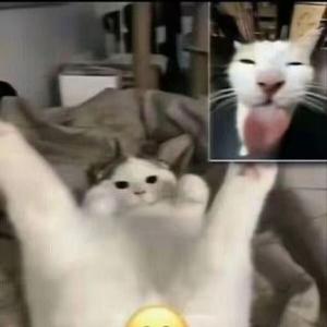 [免费使用] I SEE YOU | 情绪类伴奏