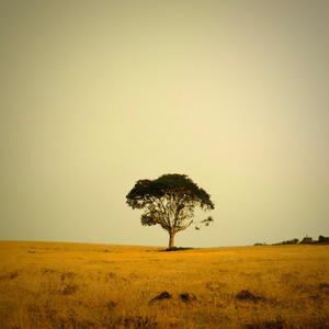 Umoja