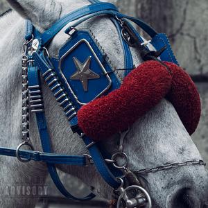 racehorse
