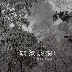 雾 落 羽 杉 - 山谷羽杉撒落雨滴