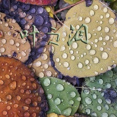 肆意挥霍的青春