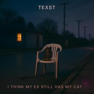 I Think My Ex Still Has My Cat (alt.version)