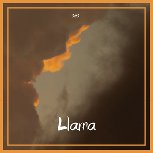 Alan Walker-The Spectre（323 remix）