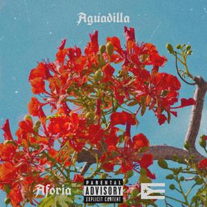 AGUADILLA