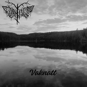Vaknatt (Single)