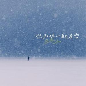 想和你一起看雪