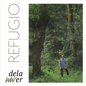 Desaliento