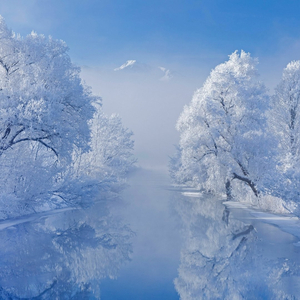 NEIGE