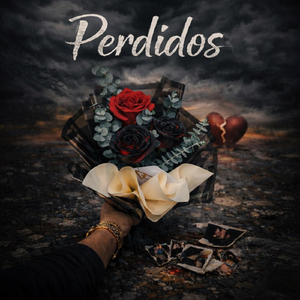 PERDIDOS