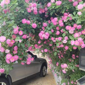 凌晨三四点的傻我