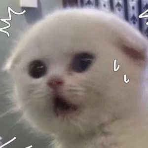 肥宅的快乐暑假