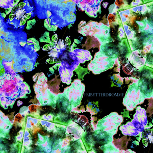 Fem Er Det Magiske Nummer