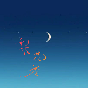 梨花香（DJ版）