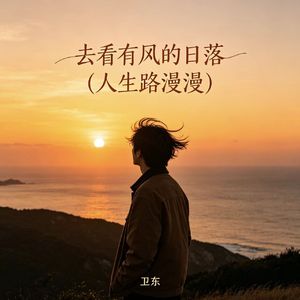 去看有风的日落（人生路漫漫）