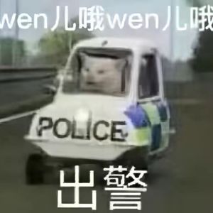 王牌警探