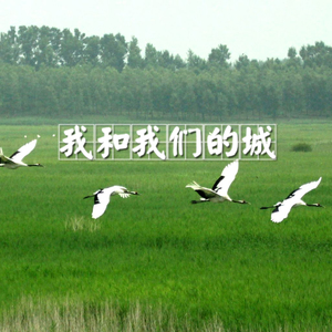 我和我们的城