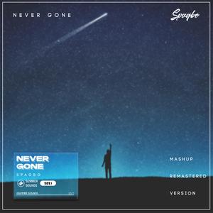 Never Gone