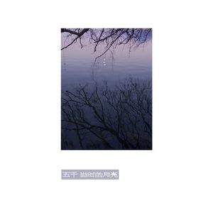 当时的月亮（cover 王菲）