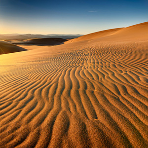 Mezcla De Voces Expresivas