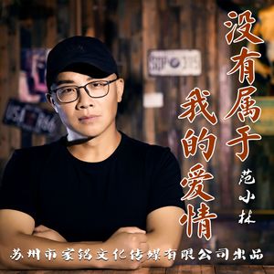 没有属于我的爱情