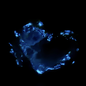 Rodeo Drive中国的上帝