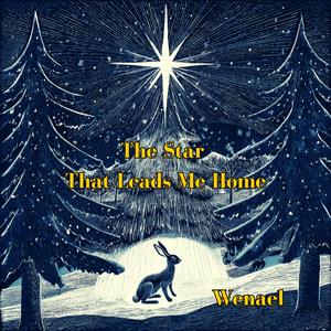 The Star That Leads Me Home
