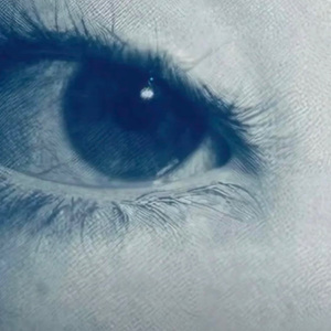 爱上了一个人眼睛不说谎