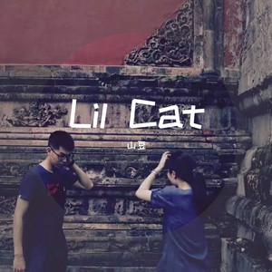 Lil Cat