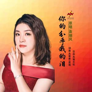 你的分手我的泪