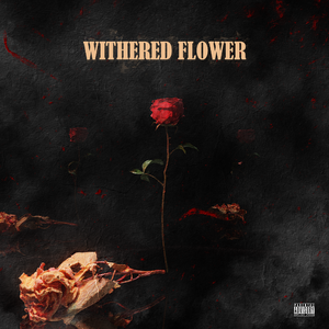 枯萎的花Withered Flower