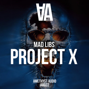 Project X (Original Mix)