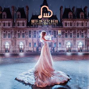 D大调第五学生协奏曲 第一乐章 塞茨