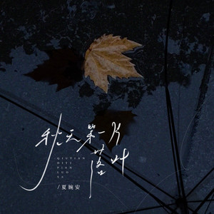 秋天第一片落叶