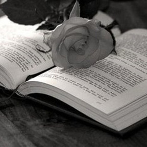 美丽心情（翻自 多本RuRu）