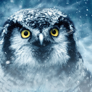 Players X Without Me