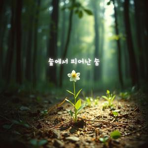 숲에서 피어난 숨