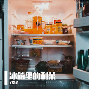 冰箱里的剩菜