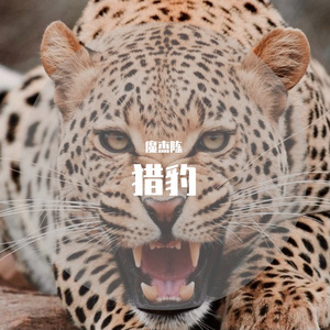 1992（Remix）（翻自 GALI）