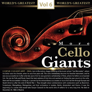 Cello Concerto in B Minor, Op. 104, B. 191:I. Allegro