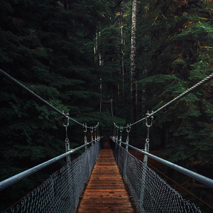 我想有个家（我见过太多人凑了伴丢了魂）