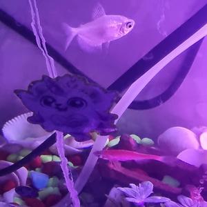 אני רק מבקש מעט נשימה (Radio Edit)