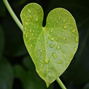 清风拂过温柔海