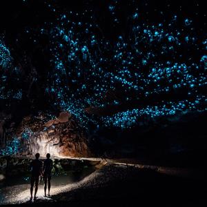 【FREE】哥只是个传说