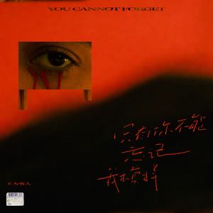 只有你不能忘记我模样